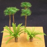 1/150  Palm/Japanese sago palm