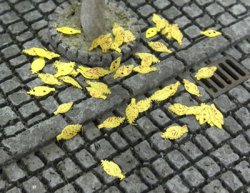 Photo1: 1/35 Autumun Leaves (BRUSH) yellow（Diorama accessories ）