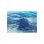 Photo1: Acrylic display panel series EIJI SHIMAMURA Ocean Art  Size:B (1)