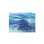 Photo1: Acrylic display panel series EIJI SHIMAMURA Ocean Art  Size:A (1)