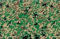 1/35 Camouflage Pattern JGSDF Camouflage Schema - Asuka Model online shop