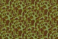 1/35 WW2 U.S. Camouflage Schema Frog Skin C - Asuka Model online shop
